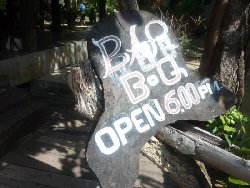 Elke dag verse seafood en vlees barbeque